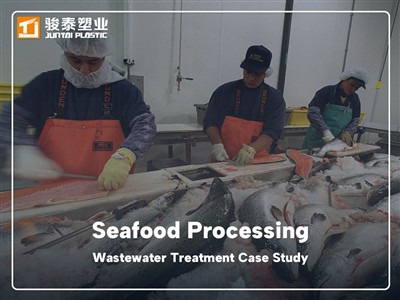 Studiu de caz de tratare a apelor uzate de prelucrare a fructelor de mare – P...