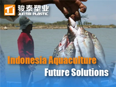 Indonezia Acvacultură Tratarea apelor uzate: starea actuală și soluții viitoa...